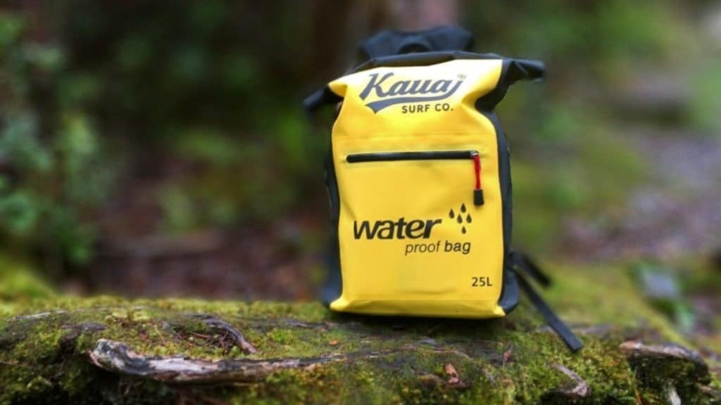 Waterproof backpack in a tropical forest