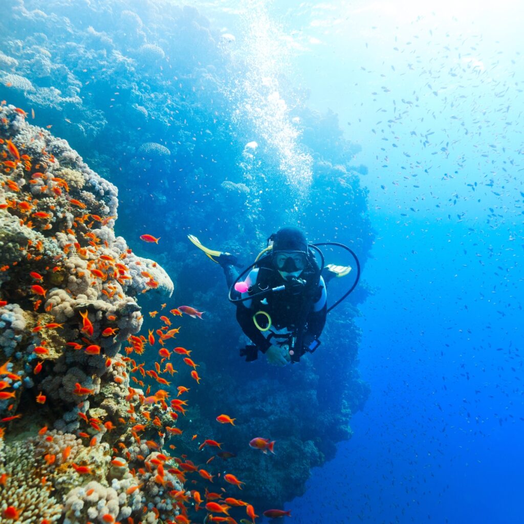 What is scuba diving